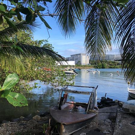 Appartement Avec Vue Panoramique De Pointe-A-Pitre エクステリア 写真